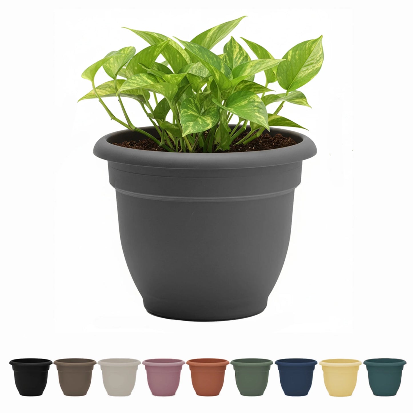 Ariana 16" Charcoal round Self-Watering Resin Planter Pot - Rolled Rim Indoor and Outdoor Gardening Planter