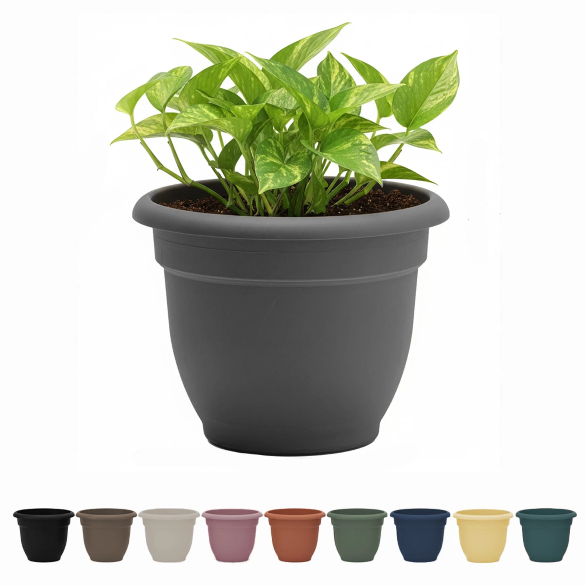 Ariana 16" Charcoal round Self-Watering Resin Planter Pot - Rolled Rim Indoor and Outdoor Gardening Planter